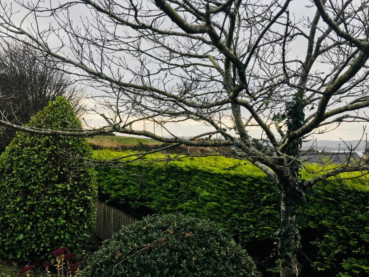 Hill Sea View Cottage 格伦加里夫 外观 照片